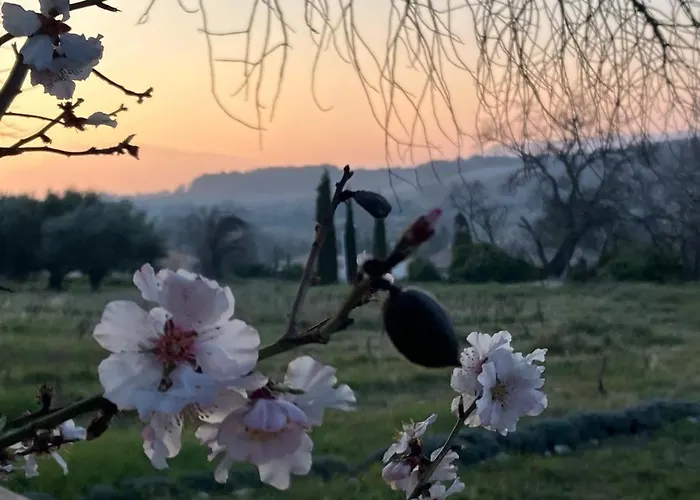 Gite Belle Vue Bed & Breakfast Visan